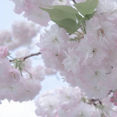 兽设插画构图技巧FurryQQ群